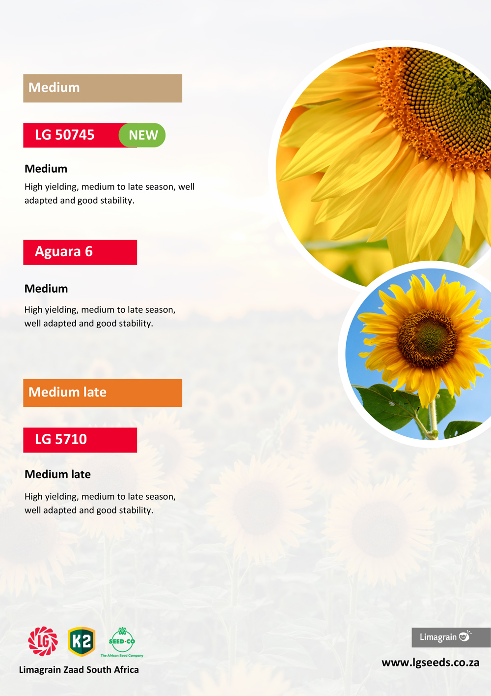 Lima-Grain-Sunflower-1.jpg