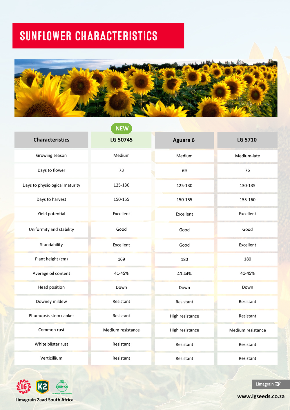 Lima-Grain-Sunflower-Characteristics.jpg